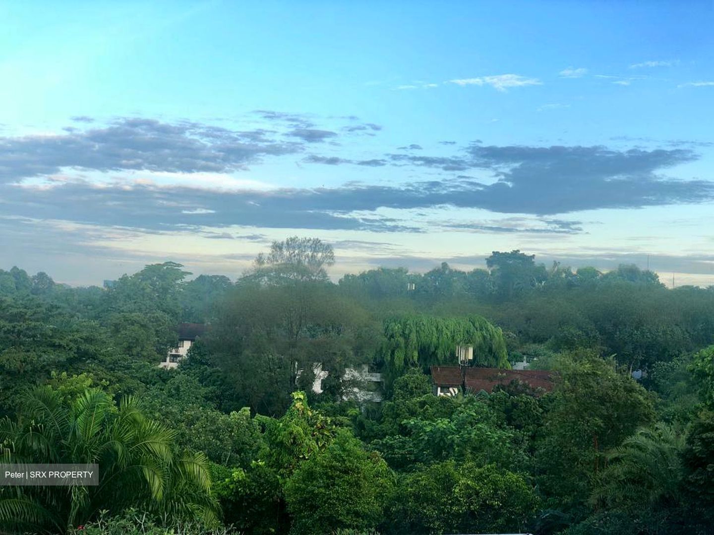Raffles Park (D11), Detached #468796401